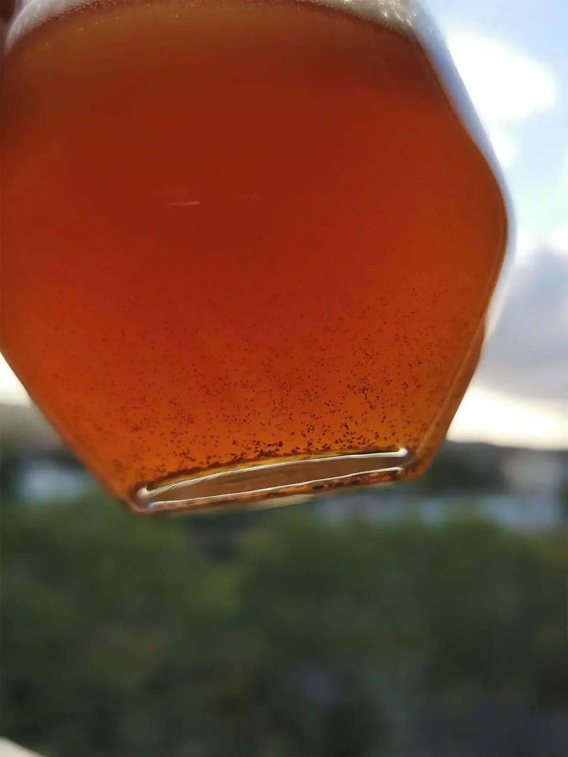 Kajita beer - piwo w szklance