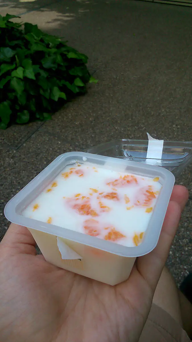 Galaretka owocowa z mleka kokosowego z owocami