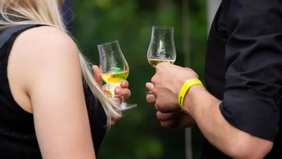 Drugi Trójmiejski Festiwal M&P w Gdyni - banner główny