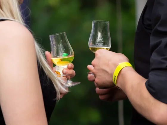 Drugi Trójmiejski Festiwal M&P w Gdyni - banner główny