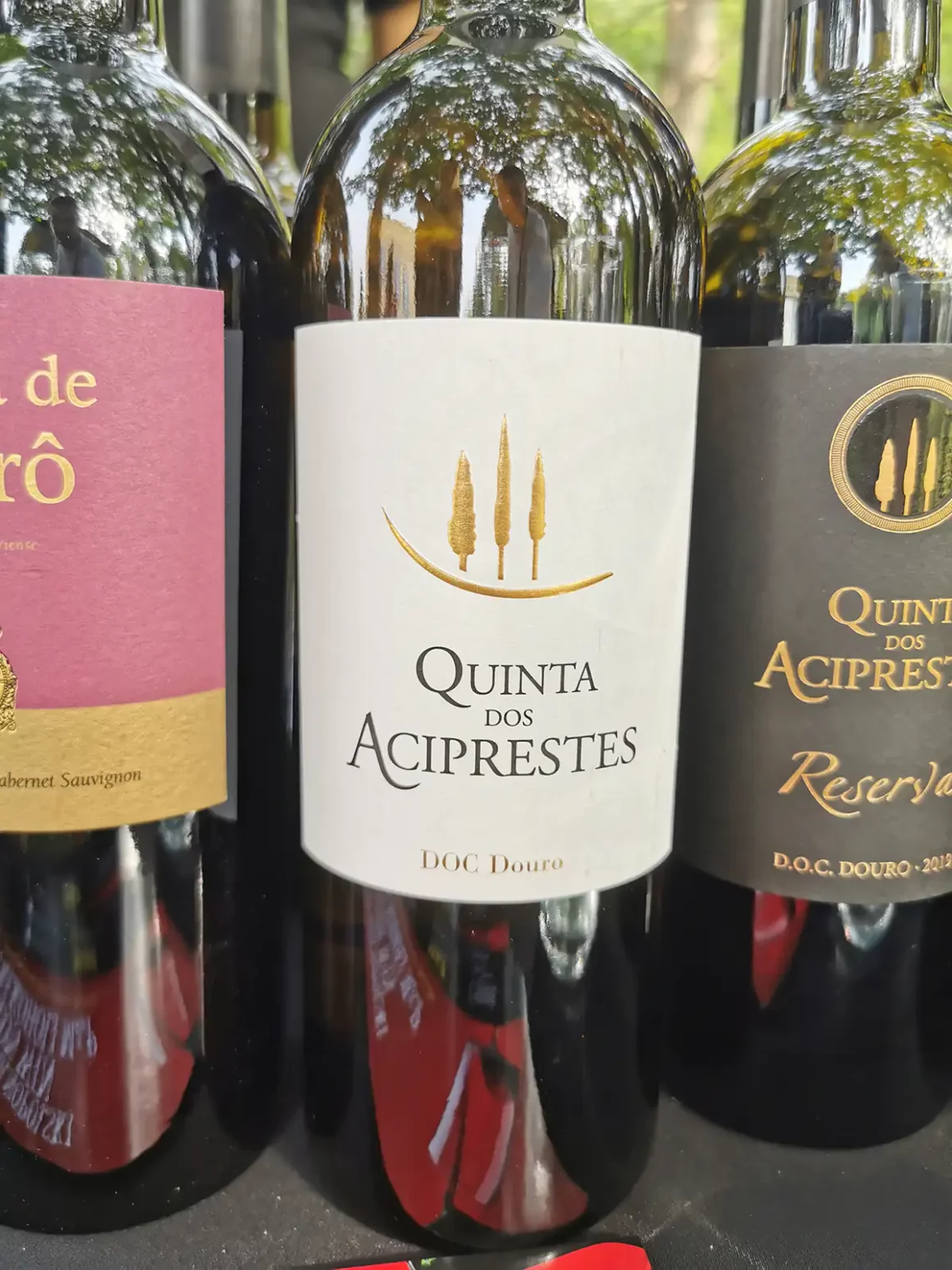 Drugi Trójmiejski Festiwal M&P - wino z Portugalii